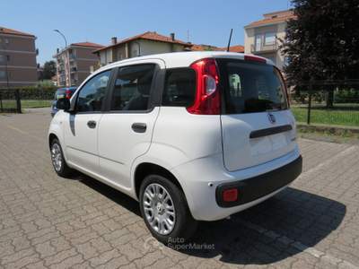 Fiat Pandina 1.0 FireFly 65cv S&S 6m Hybrid Icon Bianco usata Seregno