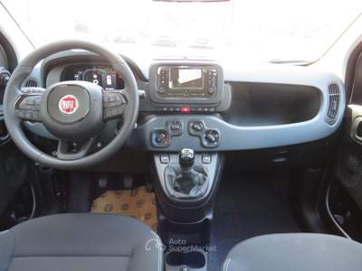 Fiat Pandina 1.0 FireFly 65cv S&S 6m Hybrid Icon Bianco usata Seregno