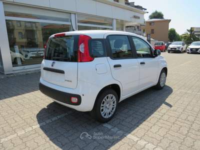 Fiat Pandina 1.0 FireFly 65cv S&S 6m Hybrid Icon Bianco usata Seregno