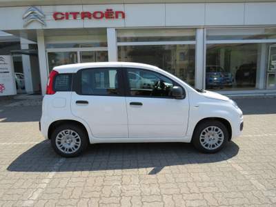 Fiat Pandina 1.0 FireFly 65cv S&S 6m Hybrid Icon Bianco usata Seregno