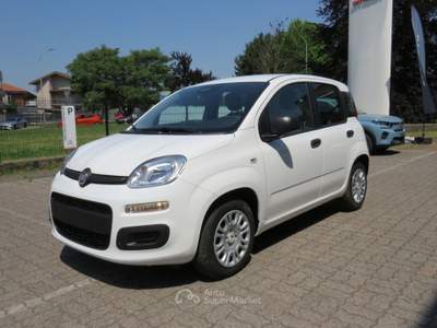 Fiat Pandina 1.0 FireFly 65cv S&S 6m Hybrid Icon Bianco usata Seregno