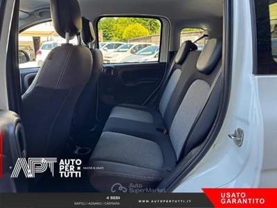 Fiat Panda Panda 1.2 City Cross s&s 69cv my19 Bianco usata Carrara