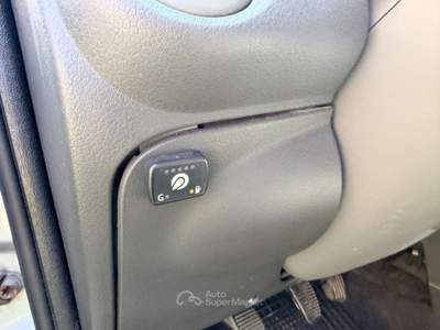Fiat Panda Dynamic GPL Argento usata Cellole
