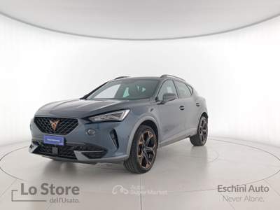 Cupra Formentor 2.0 tdi 150cv Grigio usata Pisa