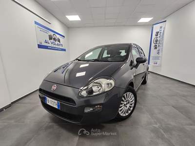 Fiat Punto 5 porte Street - NeoPatentati Grigio usata TORINO