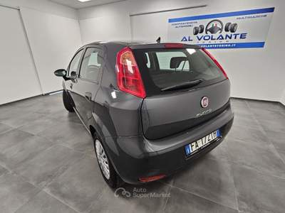 Fiat Punto 5 porte Street - NeoPatentati Grigio usata TORINO