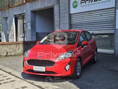 Ford Fiesta FORD Fiesta 1.1 5 porte Plus Rosso usata Moncalieri