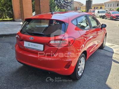 Ford Fiesta FORD Fiesta 1.1 5 porte Plus Rosso usata Moncalieri
