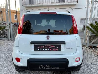 Fiat Panda FireFly S&S Hybrid City Life Bianco usata Pollena Trocchia