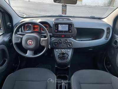 Fiat Panda FireFly S&S Hybrid City Life Bianco usata Pollena Trocchia