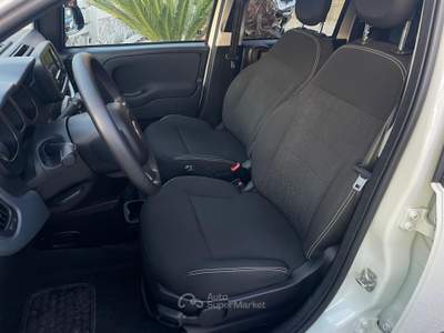 Fiat Panda FireFly S&S Hybrid City Life Bianco usata Pollena Trocchia