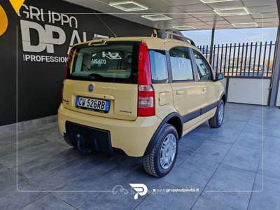 Fiat Panda Panda 1.2 Climbing 4x4 Giallo usata San Michele all'Adige