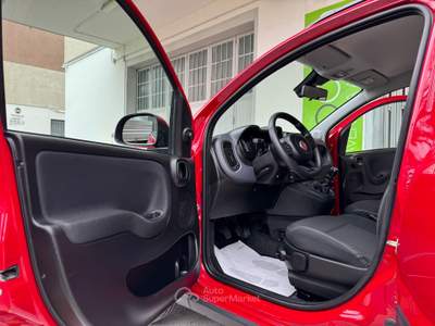Fiat Panda Cross 1.0 firefly hybrid GARANZIA36MESI Rosso usata Riccione