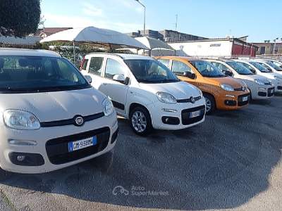 Fiat Panda Easy Bianco usata Qualiano