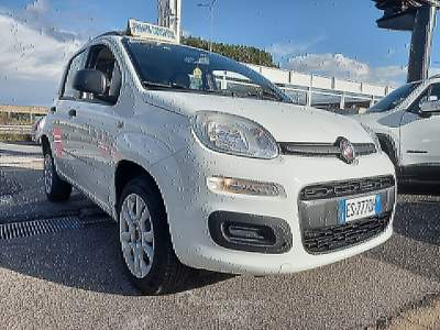 Fiat Panda Easy Bianco usata Qualiano