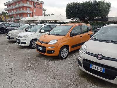 Fiat Panda Easy Bianco usata Qualiano