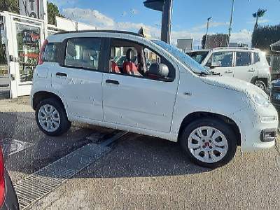 Fiat Panda Easy Bianco usata Qualiano