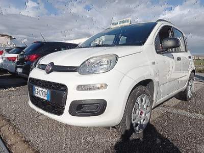 Fiat Panda Easy Bianco usata Qualiano