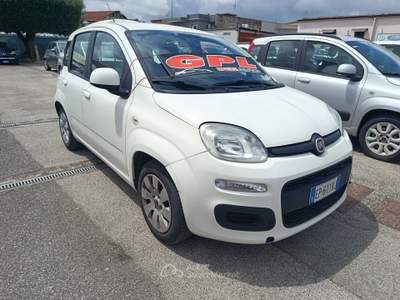 Fiat Panda EasyPower GPL Bianco usata Qualiano