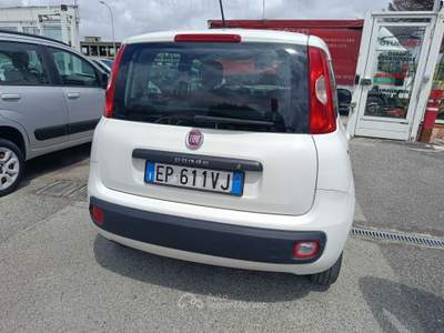 Fiat Panda EasyPower GPL Bianco usata Qualiano