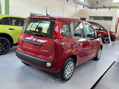 Fiat Pandina 1.0 FireFly Hybrid Icon Rosso usata Montagna in Valtellina