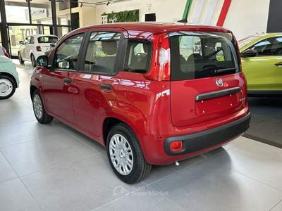 Fiat Pandina 1.0 FireFly Hybrid Icon Rosso usata Montagna in Valtellina