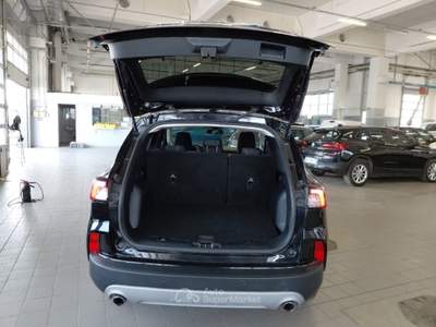 Ford Kuga FORD KUGA 1.5 ECOBLUE 120 CV 2WD TITANIUM BUSINESS AUTO SUV usata Firenze