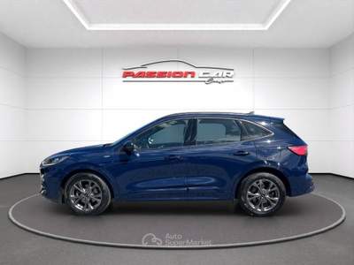 Ford Kuga 1.5 ecoblue ST-Line 2wd 120cv auto Blu/Azzurro usata Ceprano