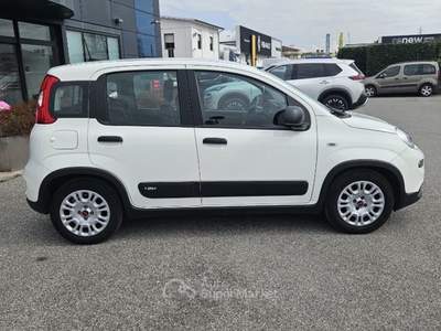 Fiat Panda 1.0 Hybrid Bianco usata Lucca