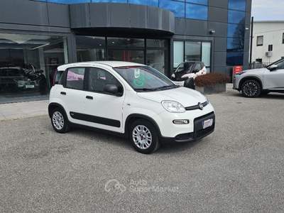 Fiat Panda 1.0 Hybrid Bianco usata Lucca
