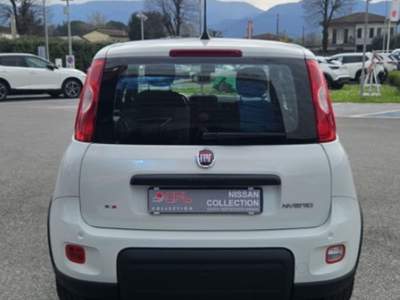 Fiat Panda 1.0 Hybrid Bianco usata Lucca