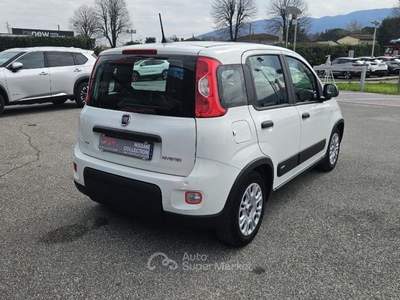 Fiat Panda 1.0 Hybrid Bianco usata Lucca