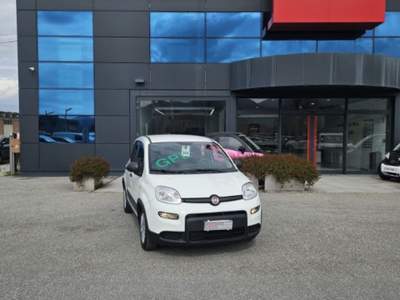 Fiat Panda 1.0 Hybrid Bianco usata Lucca