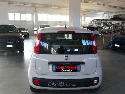 Fiat Panda 1.3 MJT 95 CV S&S Easy Beige usata Orvieto