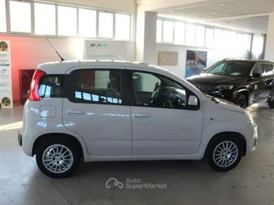 Fiat Panda 1.3 MJT 95 CV S&S Easy Beige usata Orvieto