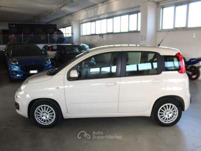Fiat Panda 1.3 MJT 95 CV S&S Easy Beige usata Orvieto