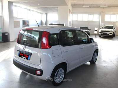 Fiat Panda 1.3 MJT 95 CV S&S Easy Beige usata Orvieto