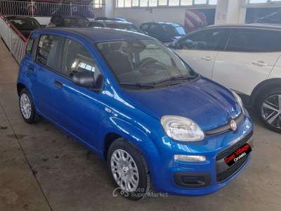Fiat Panda panda 1.0 hybrid icon Blu/Azzurro usata Orvieto