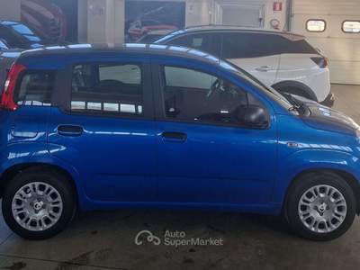 Fiat Panda panda 1.0 hybrid icon Blu/Azzurro usata Orvieto