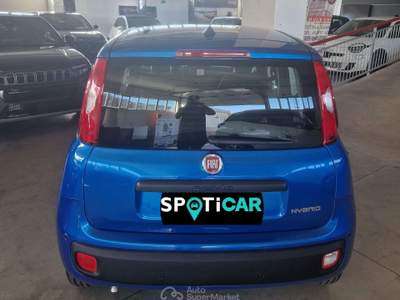 Fiat Panda panda 1.0 hybrid icon Blu/Azzurro usata Orvieto