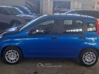 Fiat Panda panda 1.0 hybrid icon Blu/Azzurro usata Orvieto