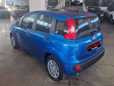 Fiat Panda panda 1.0 hybrid icon Blu/Azzurro usata Orvieto