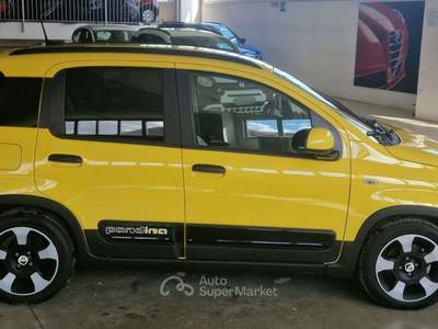 Fiat Panda Pandina Cross 1.0 firefly hybrid s&s 70cv Giallo usata Orvieto
