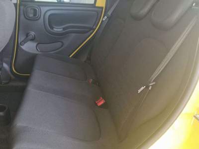 Fiat Panda Pandina Cross 1.0 firefly hybrid s&s 70cv Giallo usata Orvieto