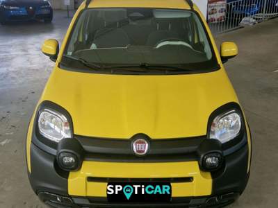 Fiat Panda Pandina Cross 1.0 firefly hybrid s&s 70cv Giallo usata Orvieto