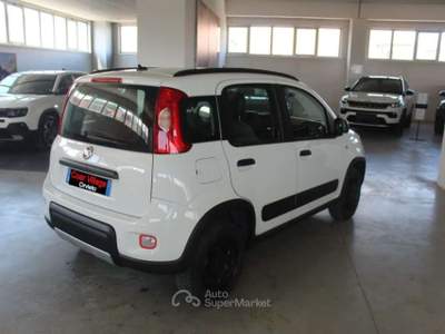 Fiat Panda 0.9 TwinAir Turbo S&S 4x4 Wild Bianco usata Orvieto