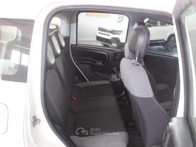 Fiat Panda 0.9 TwinAir Turbo S&S 4x4 Wild Bianco usata Orvieto