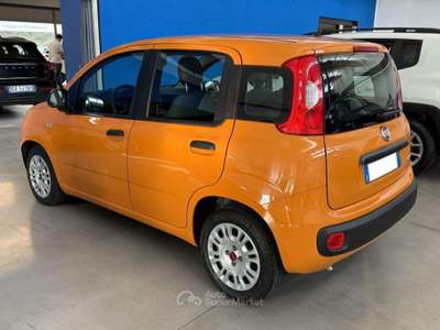 Fiat Panda Hybrid 1.0 FireFly 70 cv Neopatentati  Promo Arancione usata Este