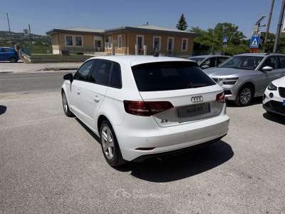 Audi A3 A3 III  Sportback Sportback 30 1.6 tdi Business 11 Bianco usata Gubbio