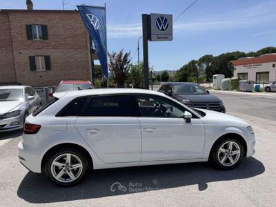 Audi A3 A3 III  Sportback Sportback 30 1.6 tdi Business 11 Bianco usata Gubbio